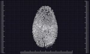 Canvas fingerprinting